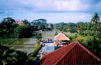 Bali View