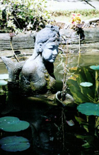 Pool with Buddha